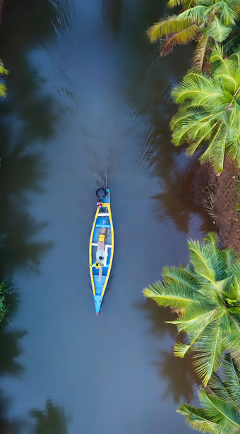 Malabar Romance: The Ultimate Secluded Honeymoon