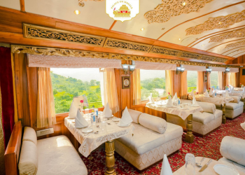 Palace on Wheels Tour 