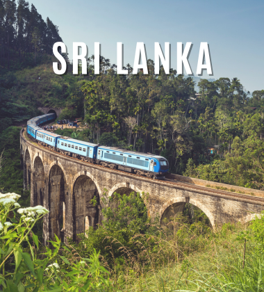 Sri Lanka Luxury Tour: Temples, Tea, Elephants and Turquoise Coastline