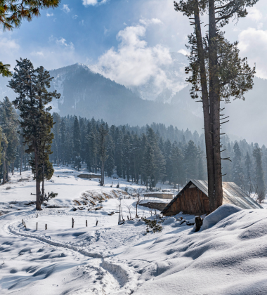 Kashmir Luxury Tour: Houseboats, Mughal Gardens and Himalayan Peaks