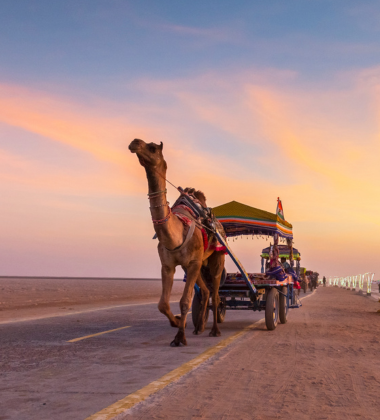 Gujarat Travel Guide: India\'s Most Underrated Luxury Destination  