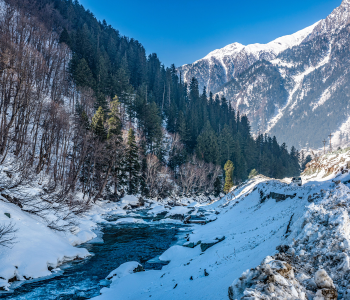 The Himalayan Wellness Sanctuary