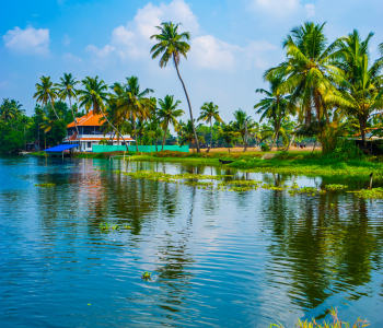 Spice Routes & Jungle Sanctuaries