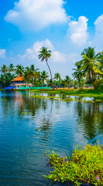 Spice Routes & Jungle Sanctuaries