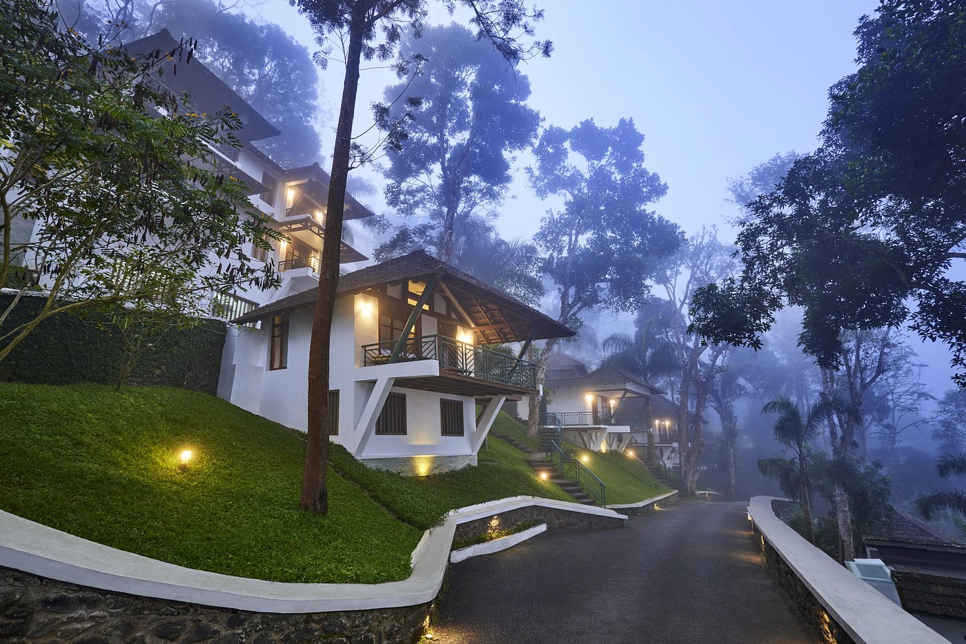 Periyar | Forest Canopy