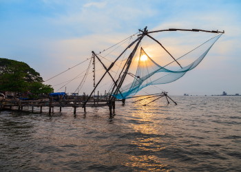 Sanctuary of the Soul: Authentic Kerala Ayurveda